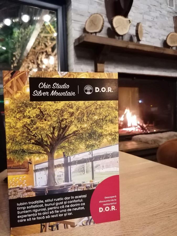 Chic Studio Silver Mountain Poiana Brasov Bagian luar foto